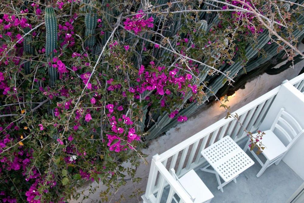 Fresh Boutique Hotel Mykonos Town المظهر الخارجي الصورة